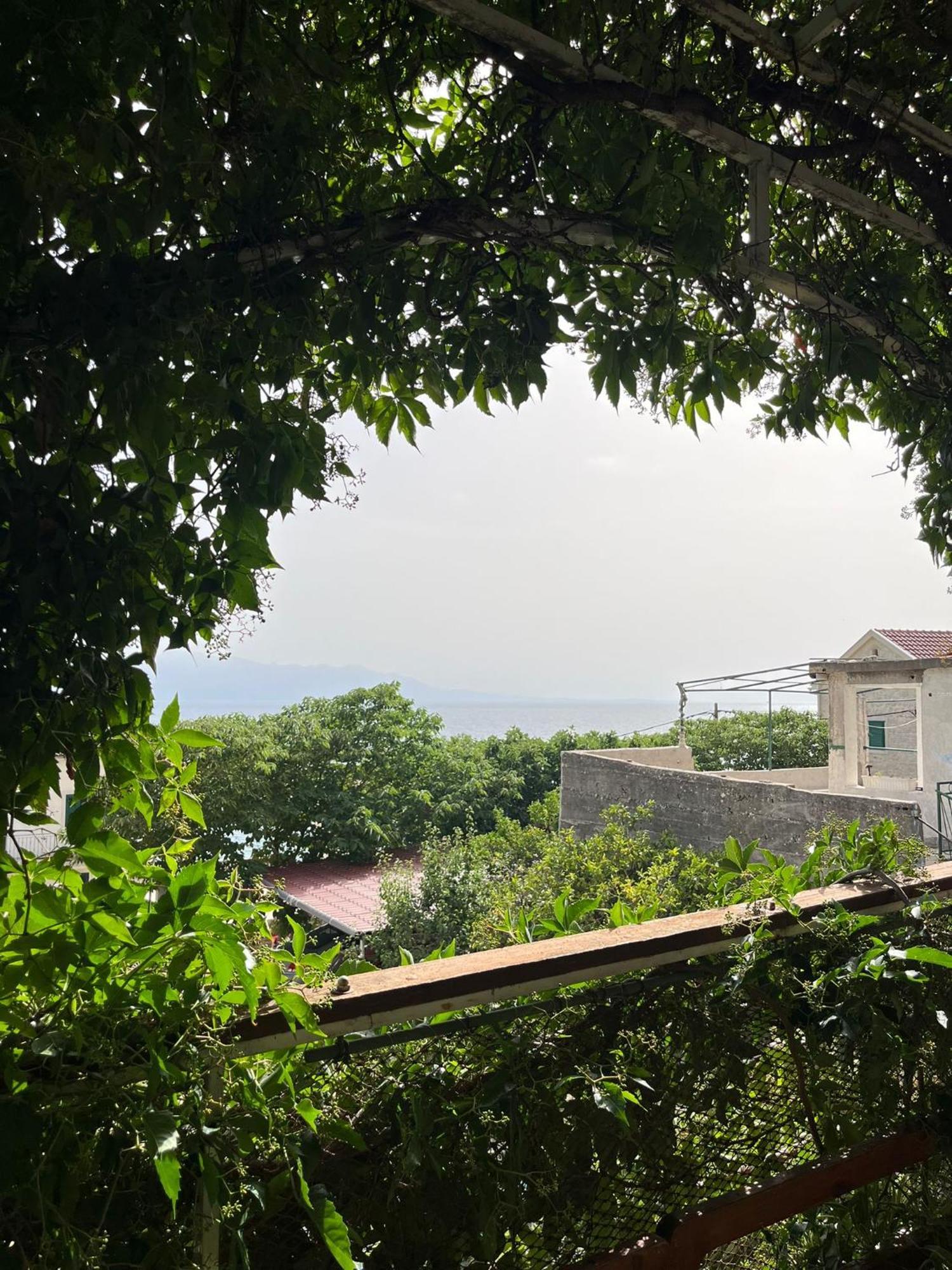 Apartmani Ankora Brist Δωμάτιο φωτογραφία